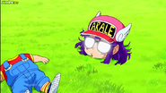 Arale desnucada