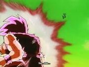 Kaio en x 20
