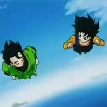 The Wizard S Curse Dragon Ball Wiki Fandom