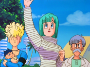 Panchy,Trunks,Bulma y Dr. Brief