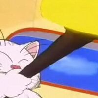 Korin S Staff Dragon Ball Wiki Fandom