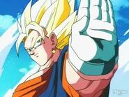 Vegetto ssj1