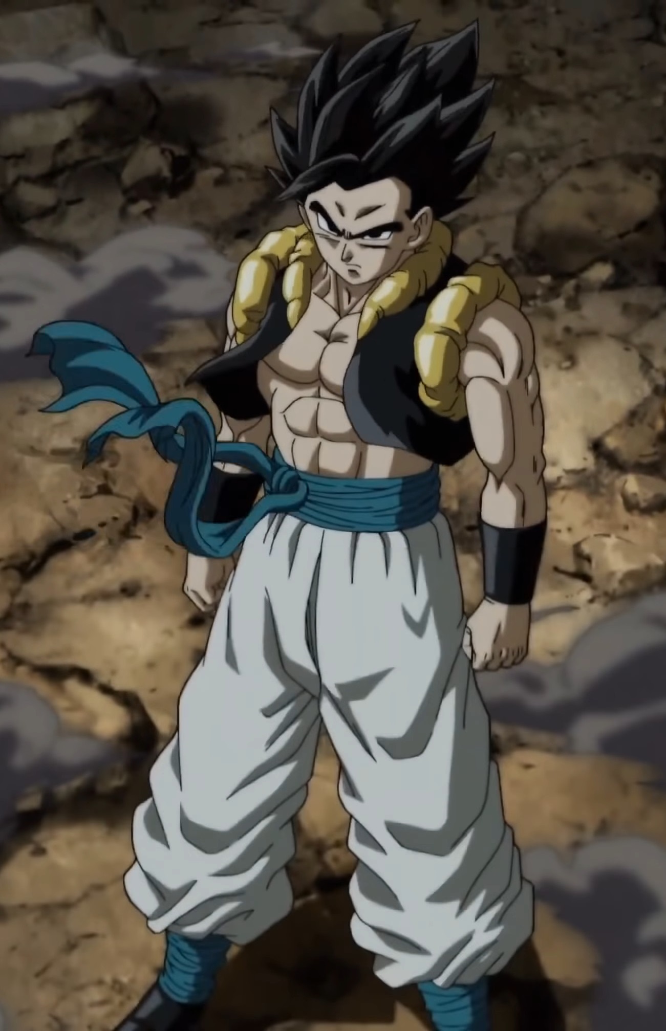 Gogeta Pants