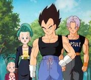 Vegeta,trunks, bulma and bra
