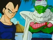 Vegeta&amp;Piccolo