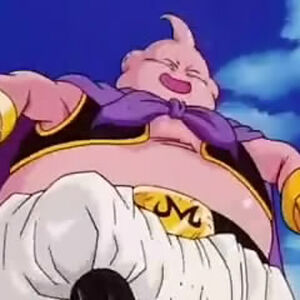 Final Atonement Dragon Ball Wiki Fandom