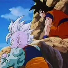The Wizard S Curse Dragon Ball Wiki Fandom
