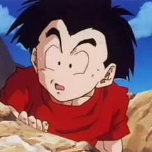 The Wizard S Curse Dragon Ball Wiki Fandom