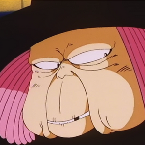 Fortuneteller Baba Dragon Ball Wiki Fandom