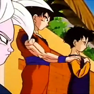 World Tournament Saga Dragon Ball Wiki Fandom