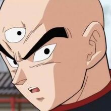 A Mysterious Beauty Appears The Enigma Of The Tien Shin Style Dojo Dragon Ball Wiki Fandom