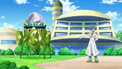 Bulma is Time Machine