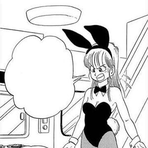 Bunny costume | Dragon Ball Wiki | Fandom