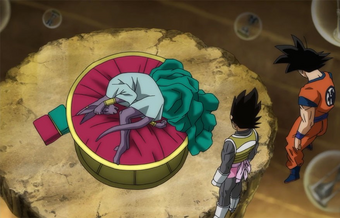 I M Here Too Training Commences On Beerus World Dragon Ball Wiki Fandom
