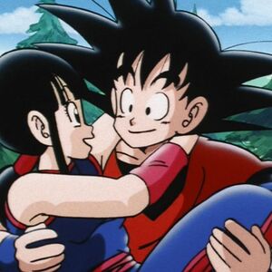 Outrageous Octagon Dragon Ball Wiki Fandom