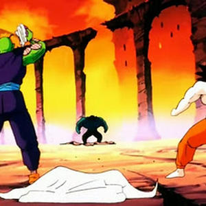 Weighted Clothing Dragon Ball Wiki Fandom