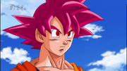 Goku SSJD Cap 9 DBS