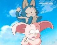 Puar y Oolong