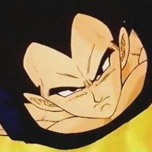 Ready To Fuse Dragon Ball Wiki Fandom