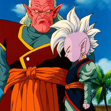 Shin Dragon Ball Wiki Fandom