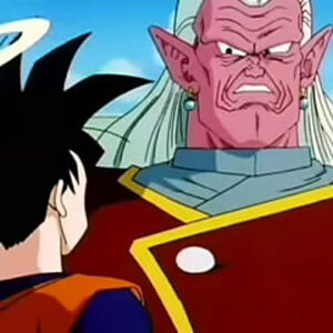 World Tournament Saga Dragon Ball Wiki Fandom