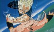 VegetaVSkidbuu