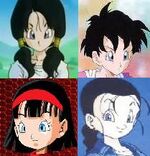 Videl Peinados