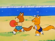 FoxBall