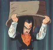 17 and Cell