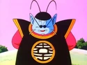 Kingkai6