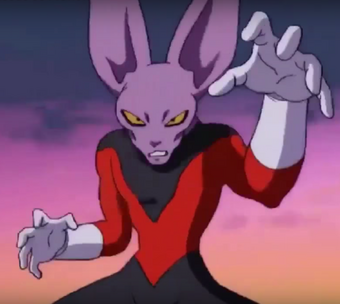 Race De Beerus Wiki Dragon Ball Fandom