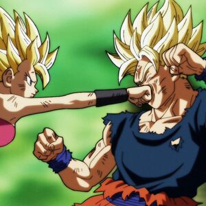 Episodio 113 Dragon Ball Super Dragon Ball Wiki Fandom