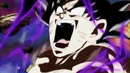 Goku ultra instinct end