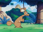 RabbitKangaroothing.Ep.104