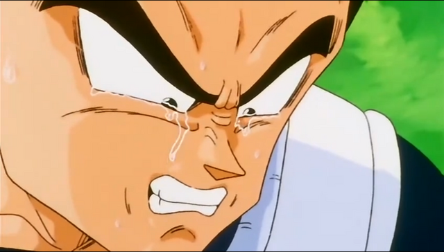 Image result for Vegeta crying