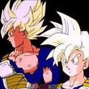 Meet Me In The Ring Dragon Ball Wiki Fandom