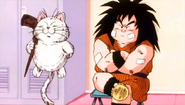 Korin Y Yajirobe