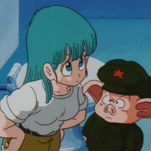 Keep An Eye On The Dragon Balls Dragon Ball Wiki Fandom