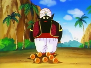 Mr. Popo