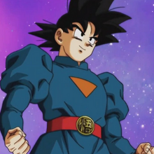 Goku Dragon Ball Wiki Fandom