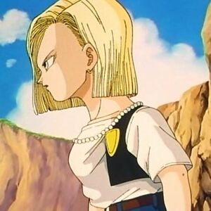 Krillin S Decision Dragon Ball Wiki Fandom