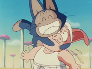 Puar feliz