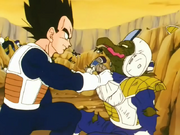 Vegeta Vs Litts