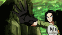 Dbs 119 gif (g)