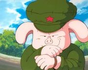 OolongDB