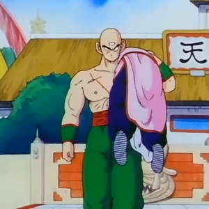 Tien Shinhan Vs Mercenary Tao Dragon Ball Wiki Fandom