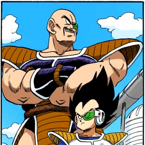 Nappa Dragon Ball Wiki Fandom