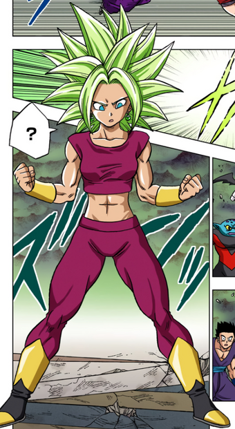 Legendary Super Saiyan Dragon Ball Wiki Fandom - kefla hair roblox