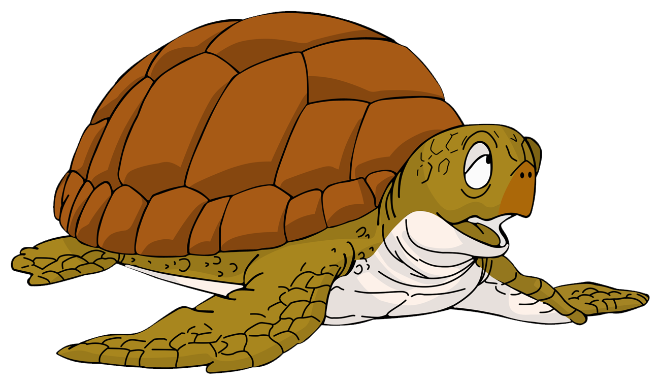 Imagen Cd66 Turtle Renderpng Dragon Ball Wiki Fandom Powered By