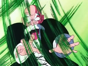 Roshi!!!